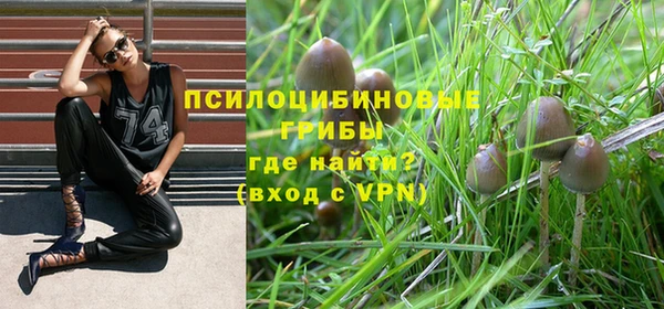 2c-b Нефтегорск