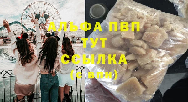 винт Надым