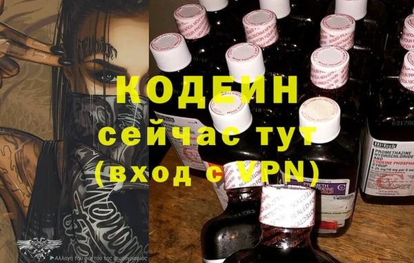 прущий лед Бердск