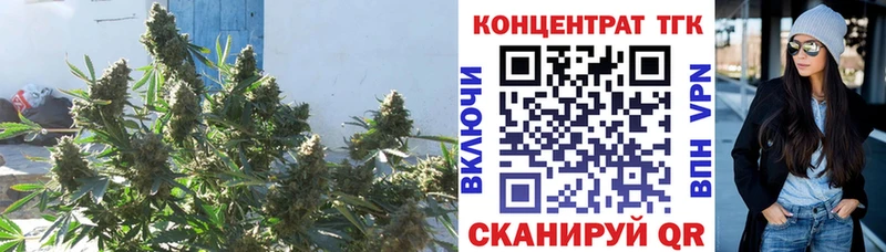 мега сайт  Поронайск  ТГК Wax 
