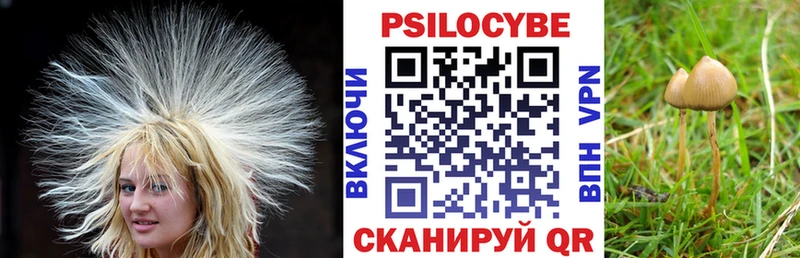 Псилоцибиновые грибы мицелий  Поронайск 